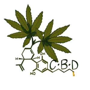 CBD Knowledge