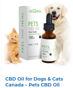 CBD for Pets - CBD Magic