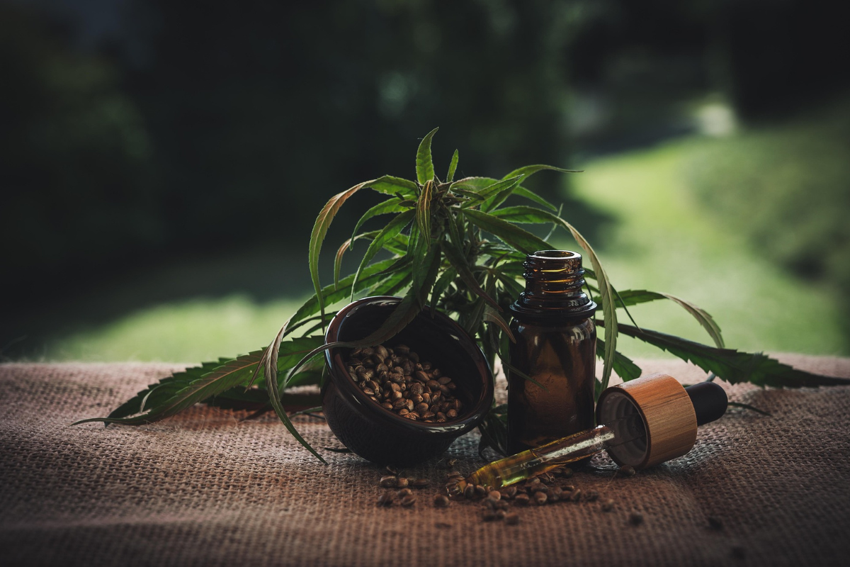 Full Spectrum CBD, Cannabis Plant